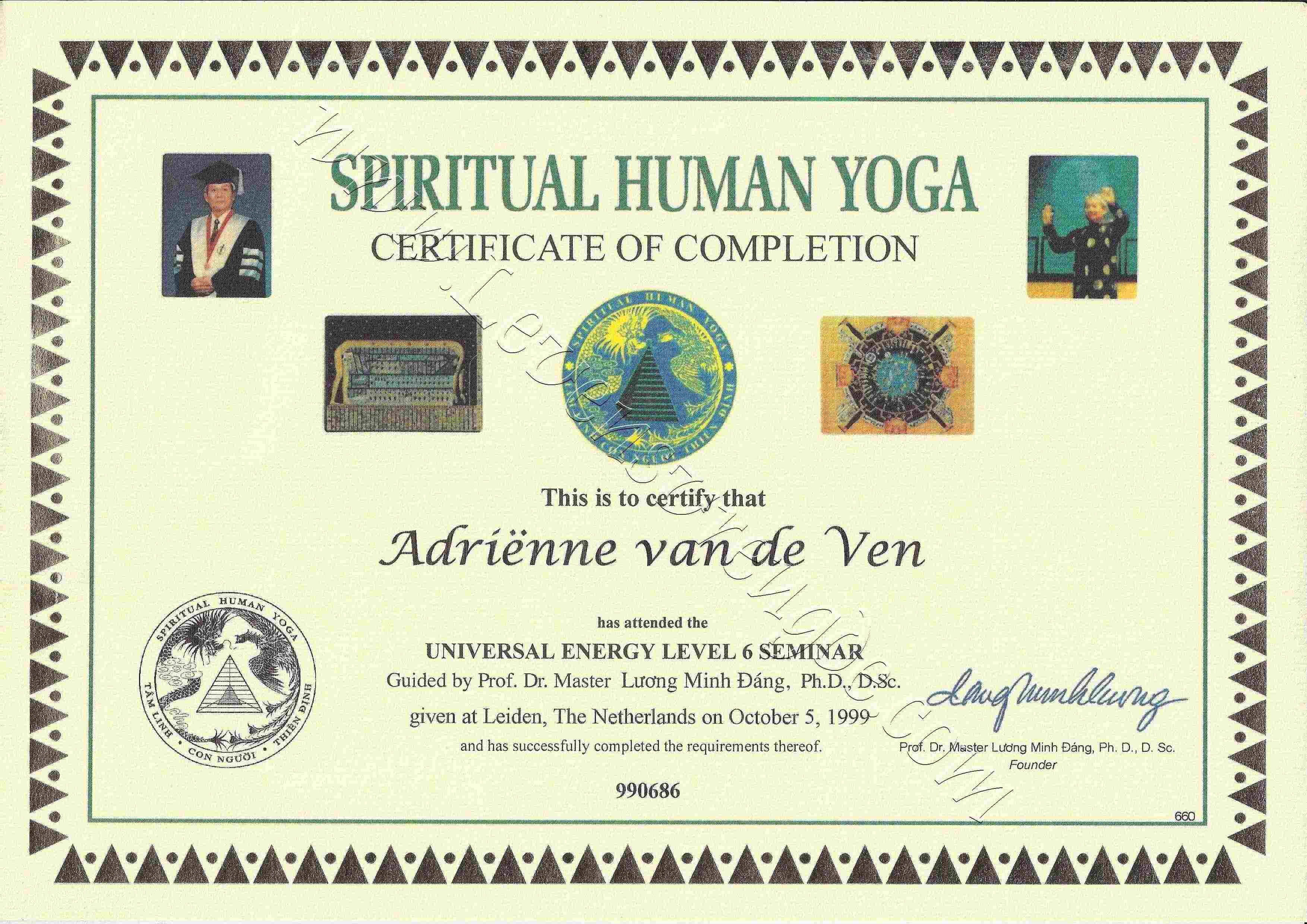 SHY  (Chakra healing) nivo 6